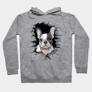 Boston Terrier in a Wall Hoodie